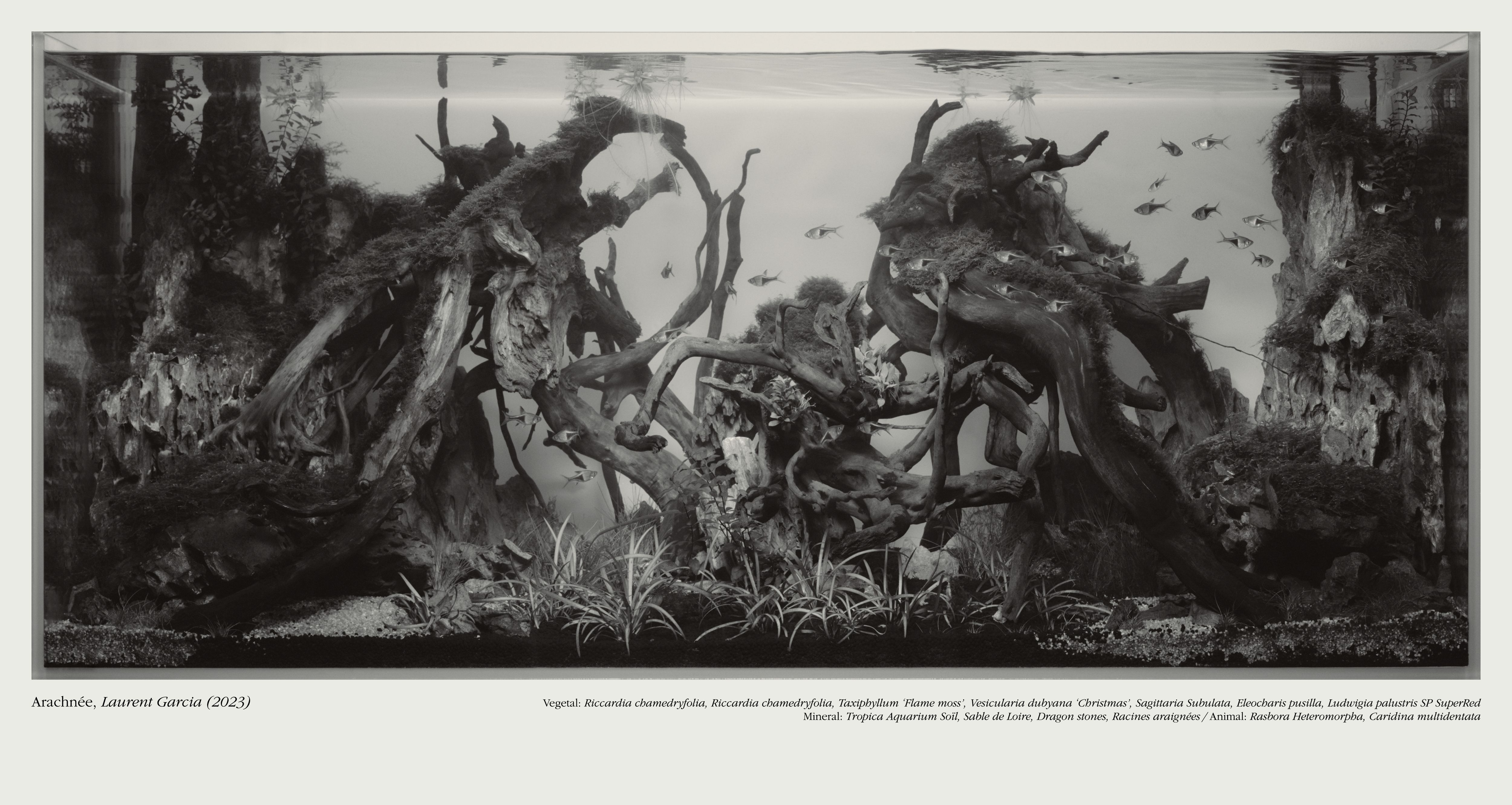 Framed Landscapes - Romain Roucoules