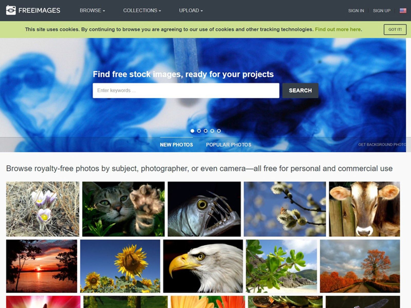 Free images