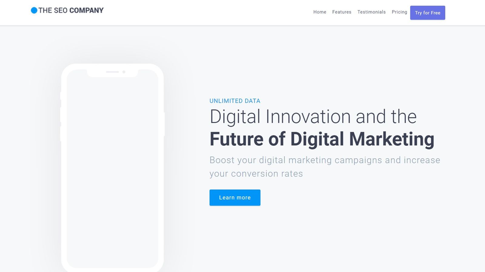 The SEO Company -Template