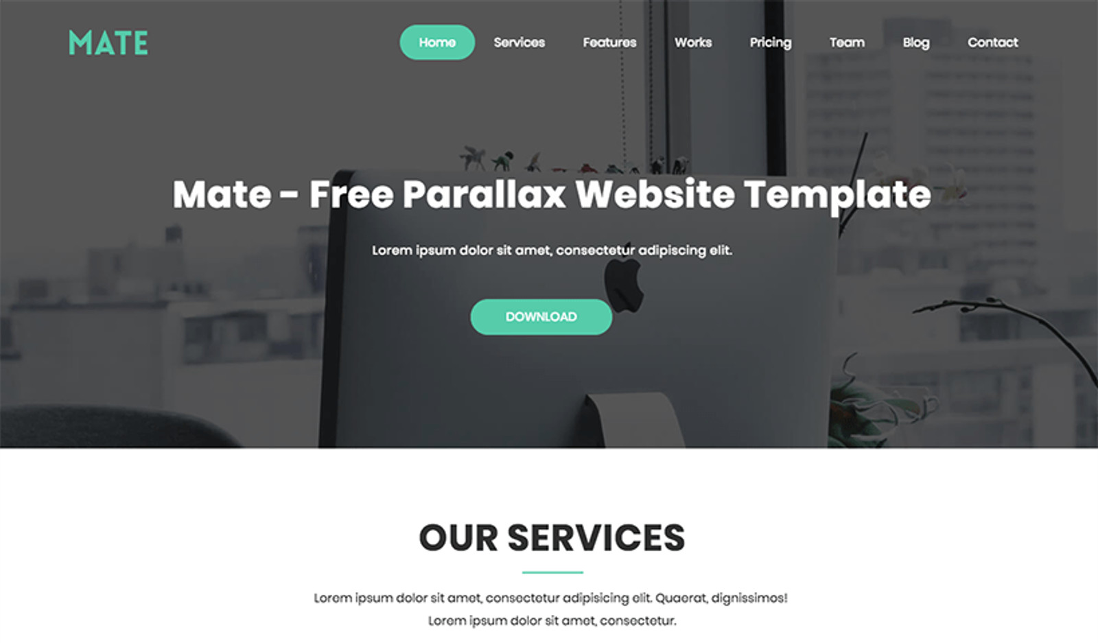 Mate - Bootstrap template