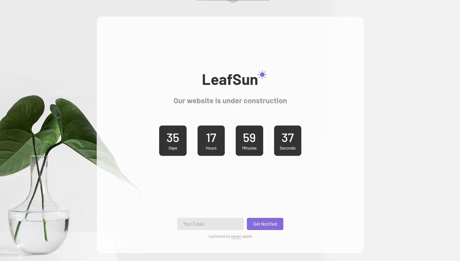 Leafsun - Free Minimal Bootstrap Template