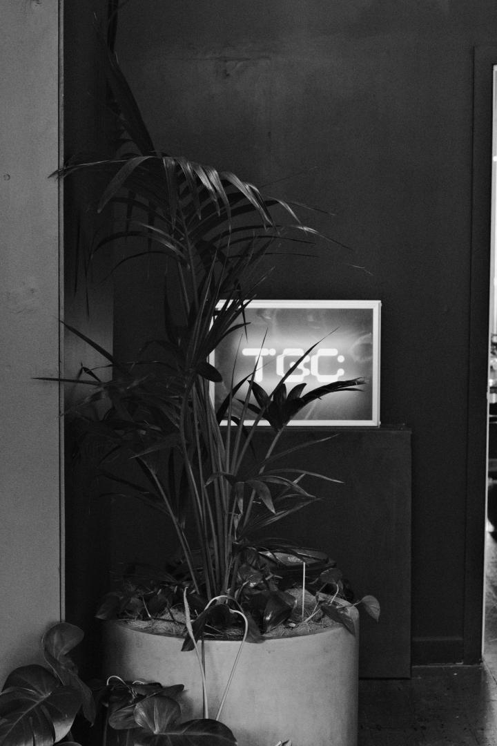 TBC lightbox peeking through some plants beside the DJ booth