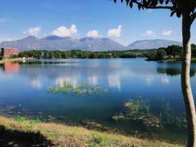 The Artificial Lake in Tirana's Grand Park — Kj1595