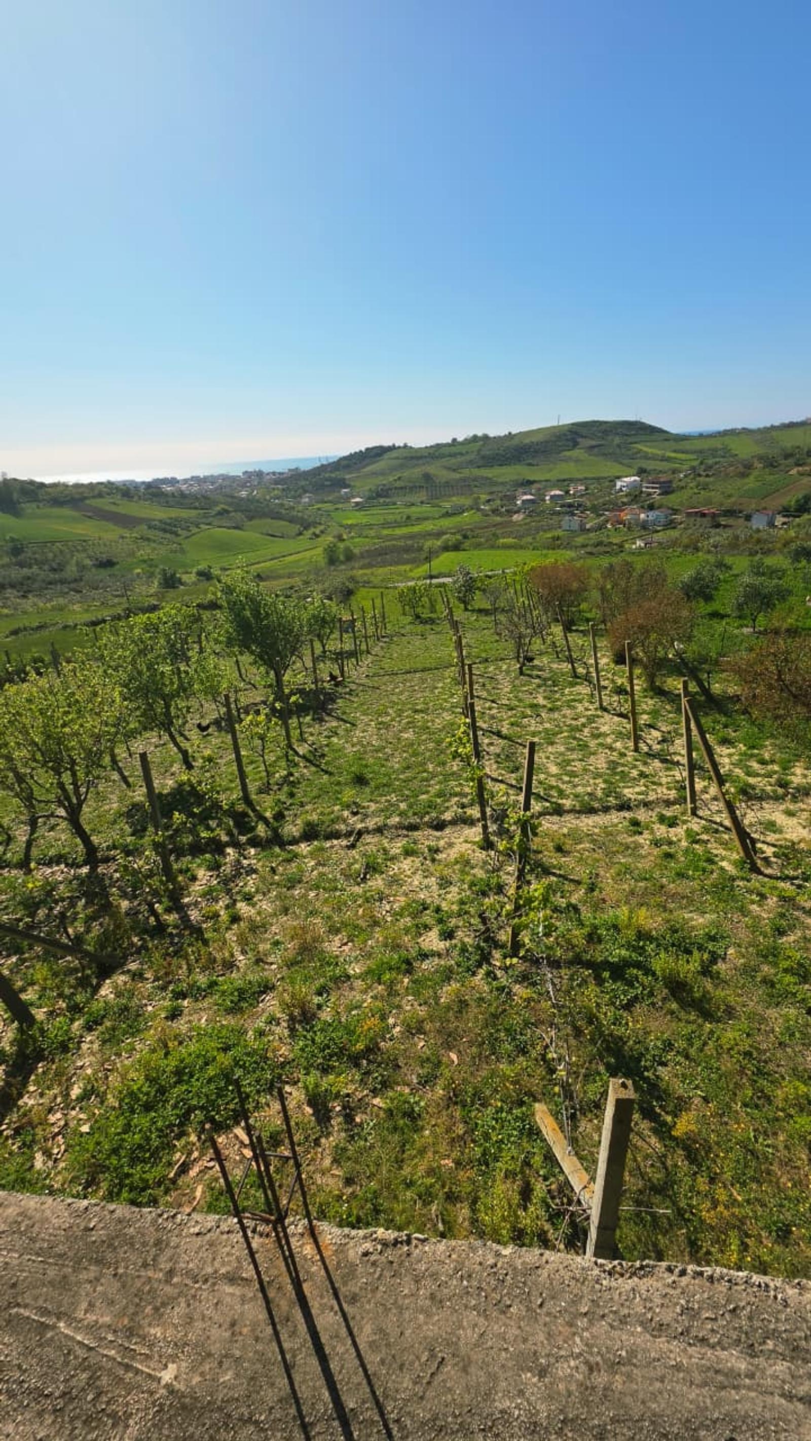 Gewerbefläche zum Kauf in Golem, Durrës, 240 m² — Foto 7 von 25