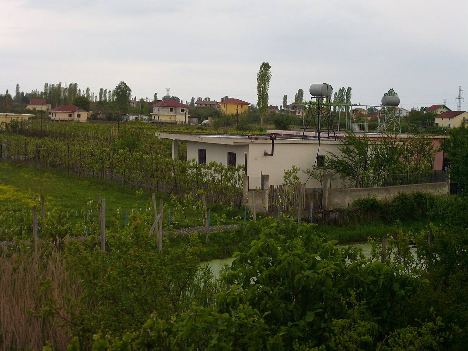 Countryside near Lezhë, northern Albania