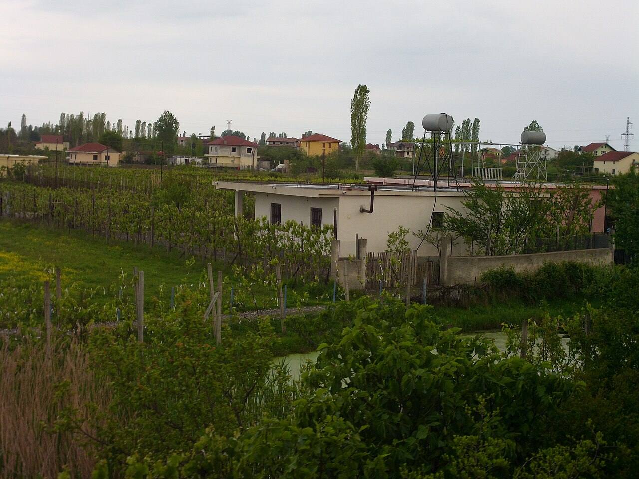 Countryside near Lezhë, northern Albania