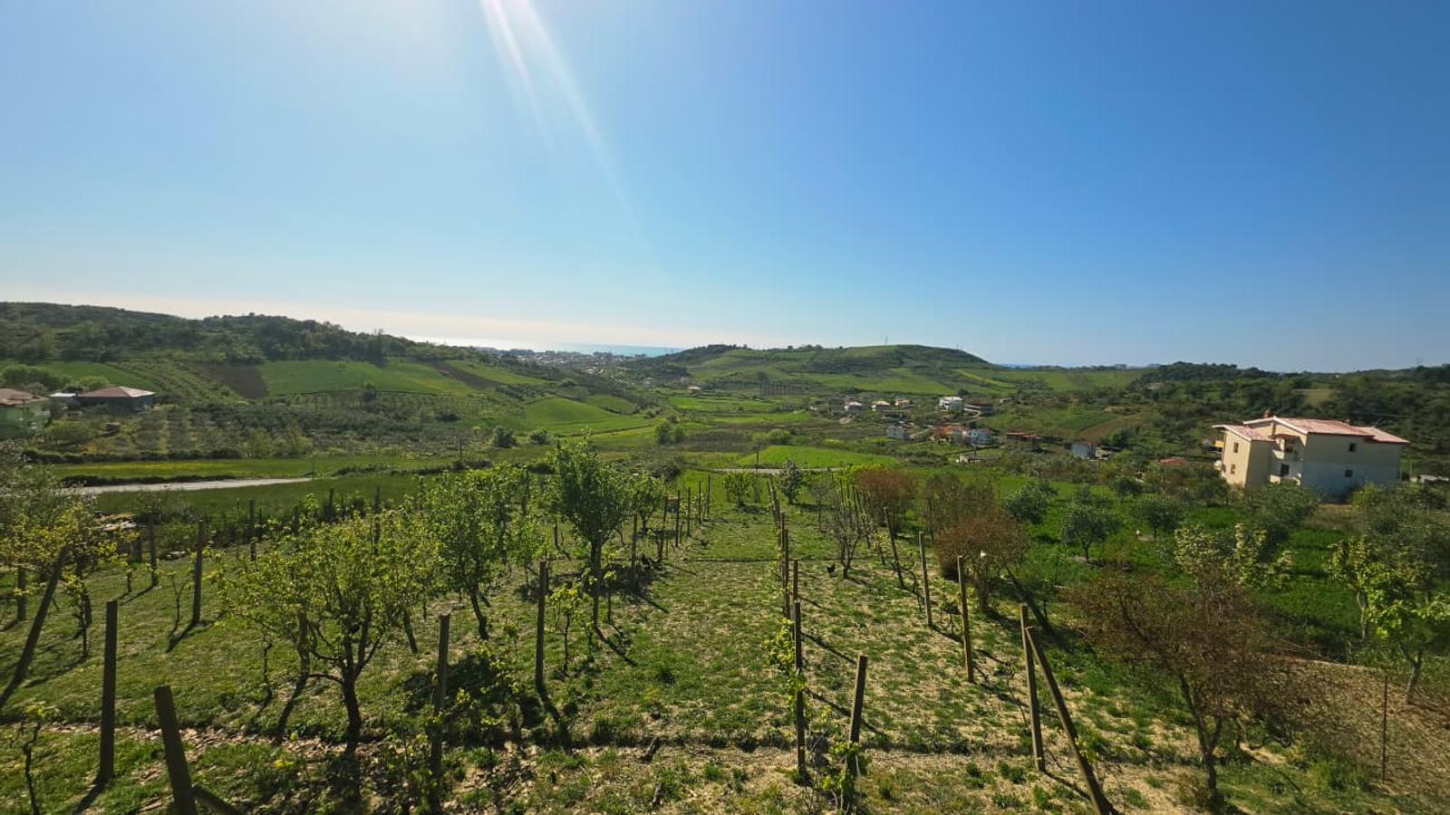 Gewerbefläche zum Kauf in Golem, Durrës, 240 m² — Foto 21 von 25