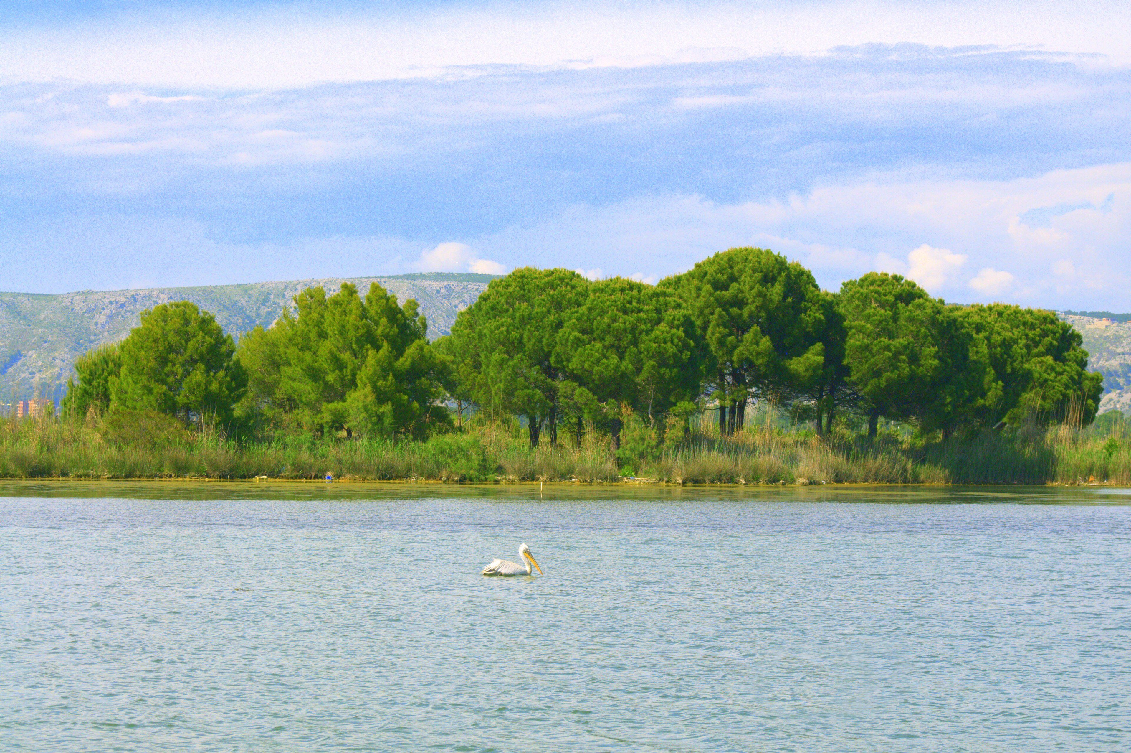 Kune lagoon near Shëngjin, Albania — Rrozafa