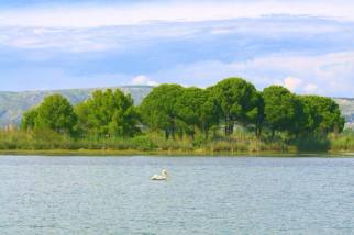 Kune lagoon near Shëngjin, Albania — Rrozafa
