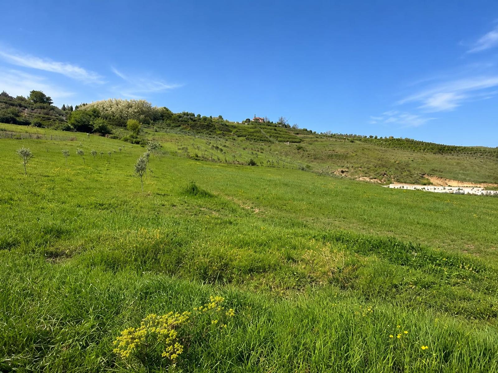 Terreno, in vendita, Koxhas, Durazzo — foto 1 di 3
