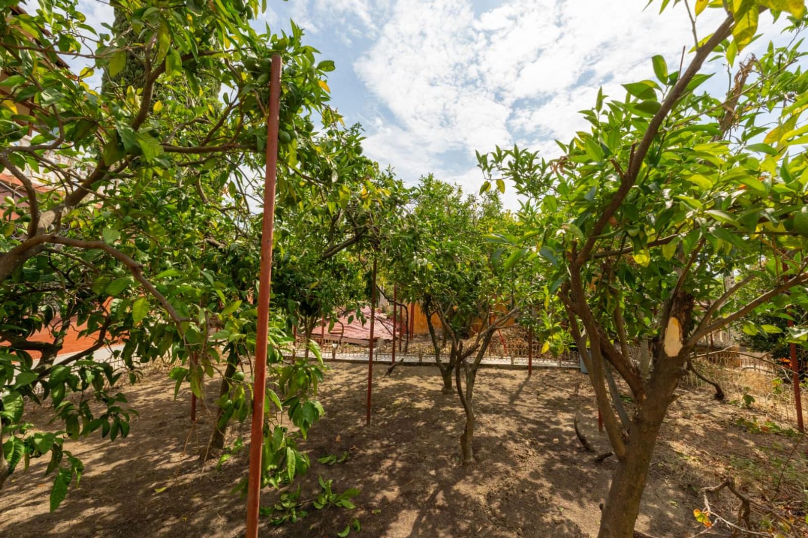 Casa, in vendita, Xhafzotaj, Durazzo, 110 m² — foto 13 di 15