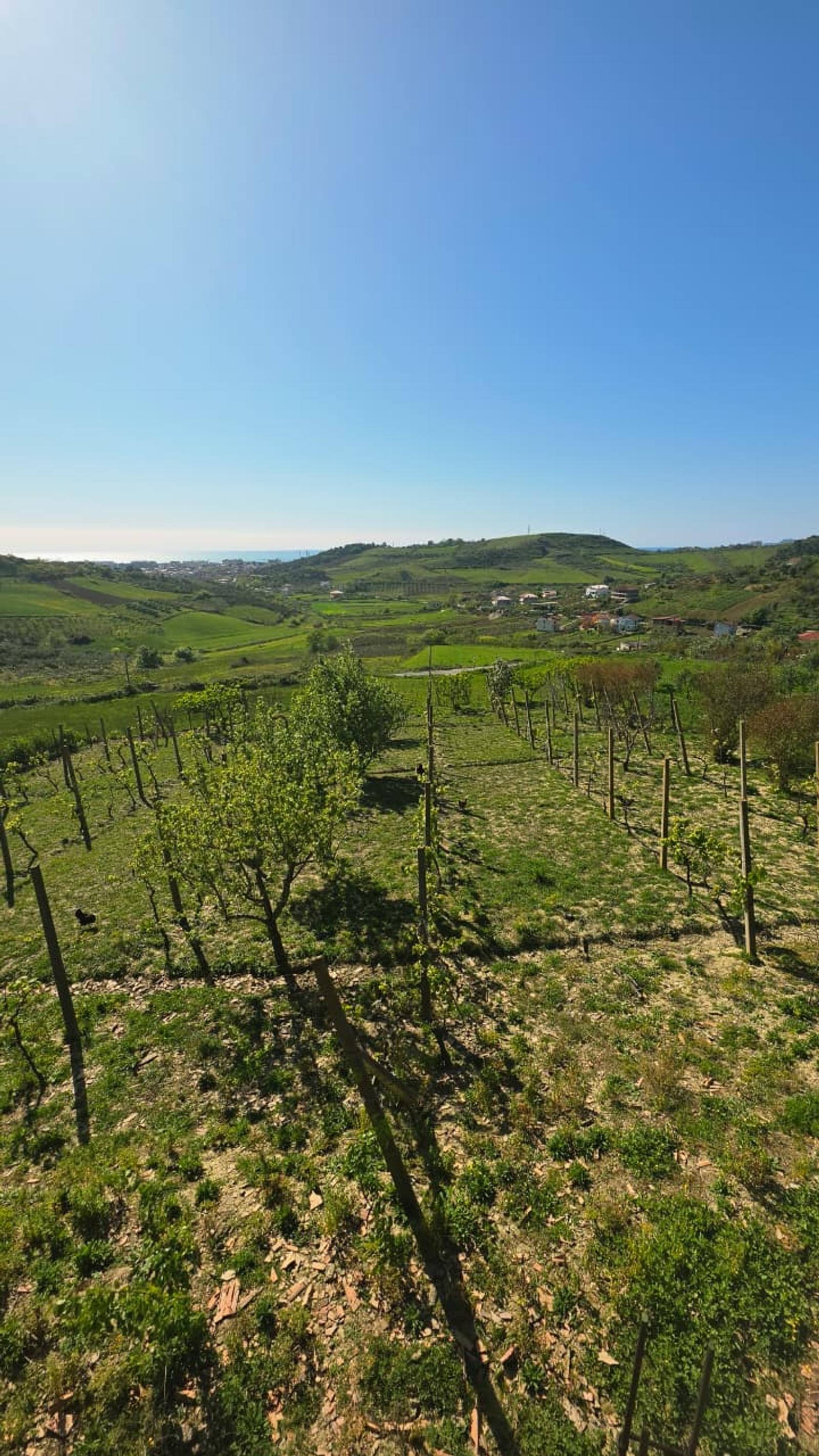 Gewerbefläche zum Kauf in Golem, Durrës, 240 m² — Foto 11 von 25
