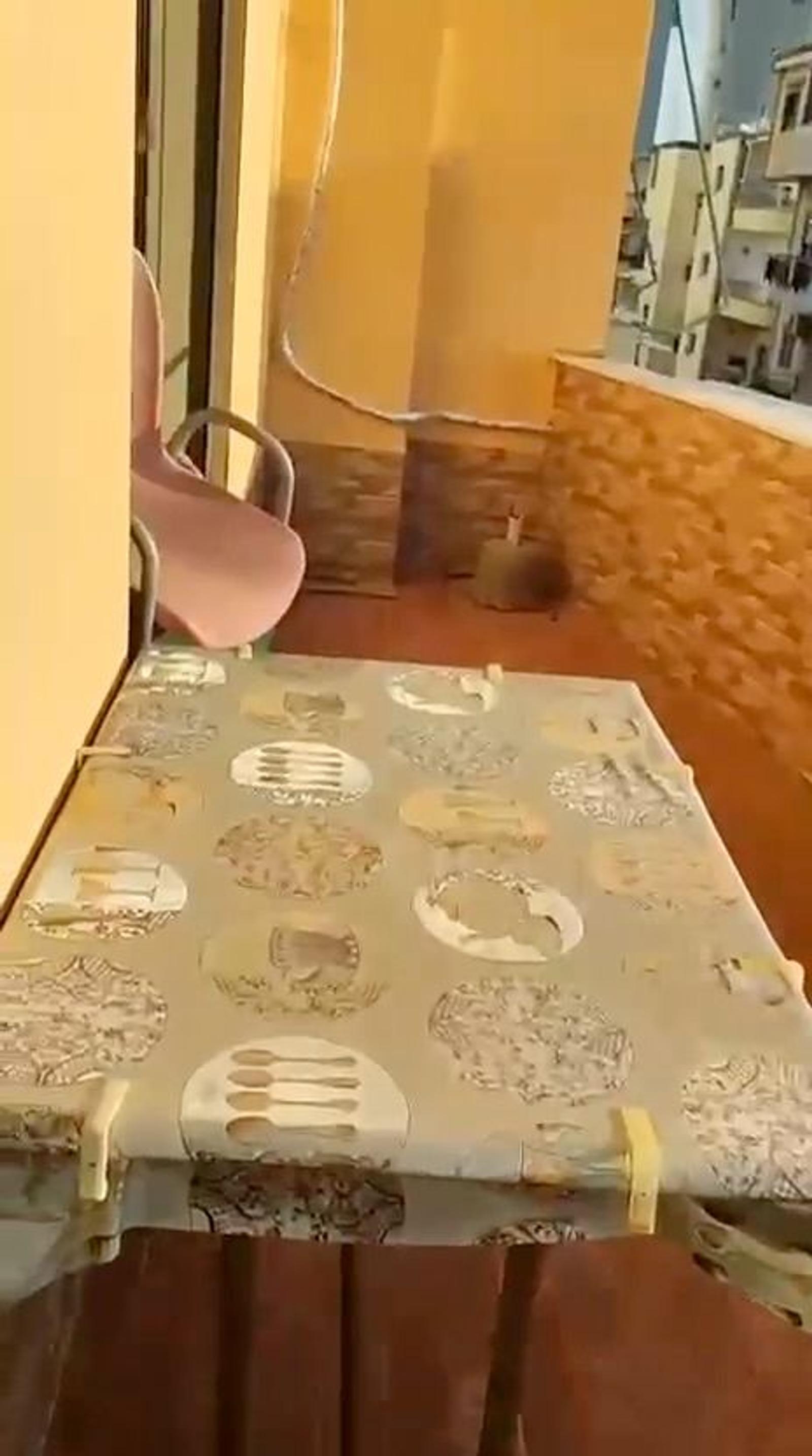 Wohnung 1+1 zum Kauf in Golem, Durrës, 74.4 m² — Foto 2 von 10