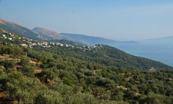 Houses among the olive groves above the sea at Piqeras, southern Albania — Albinfo