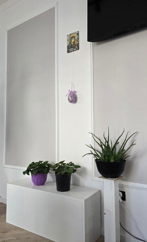 1+1 after renovation, Plazh, 48.2 m², Durres