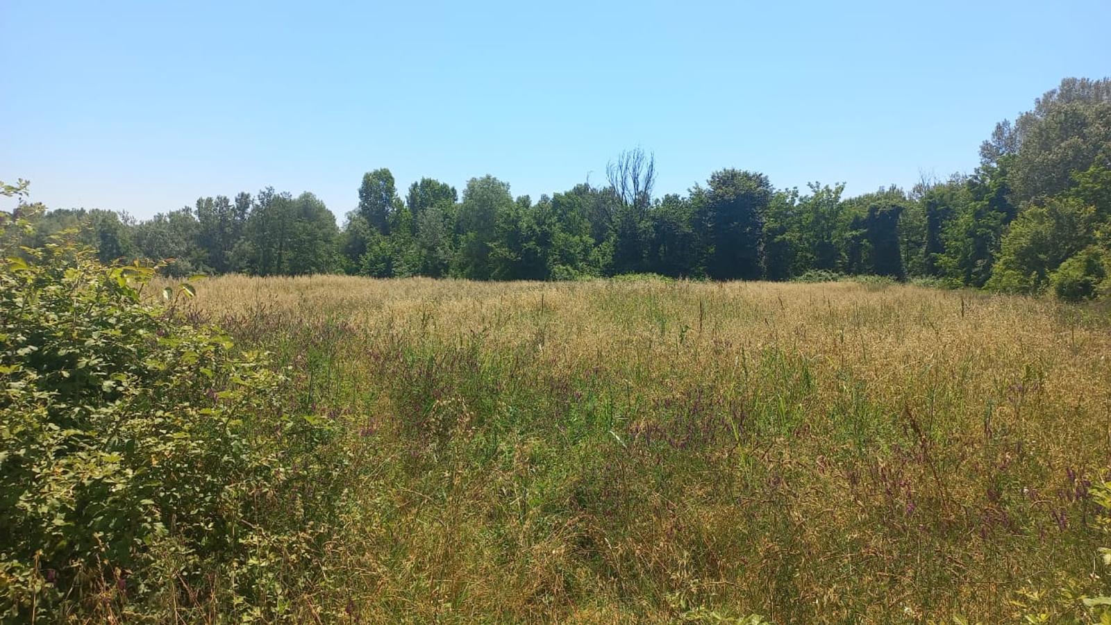 Terreno, in vendita, Rinas, Tirana, 5000 m² — foto 3 di 3