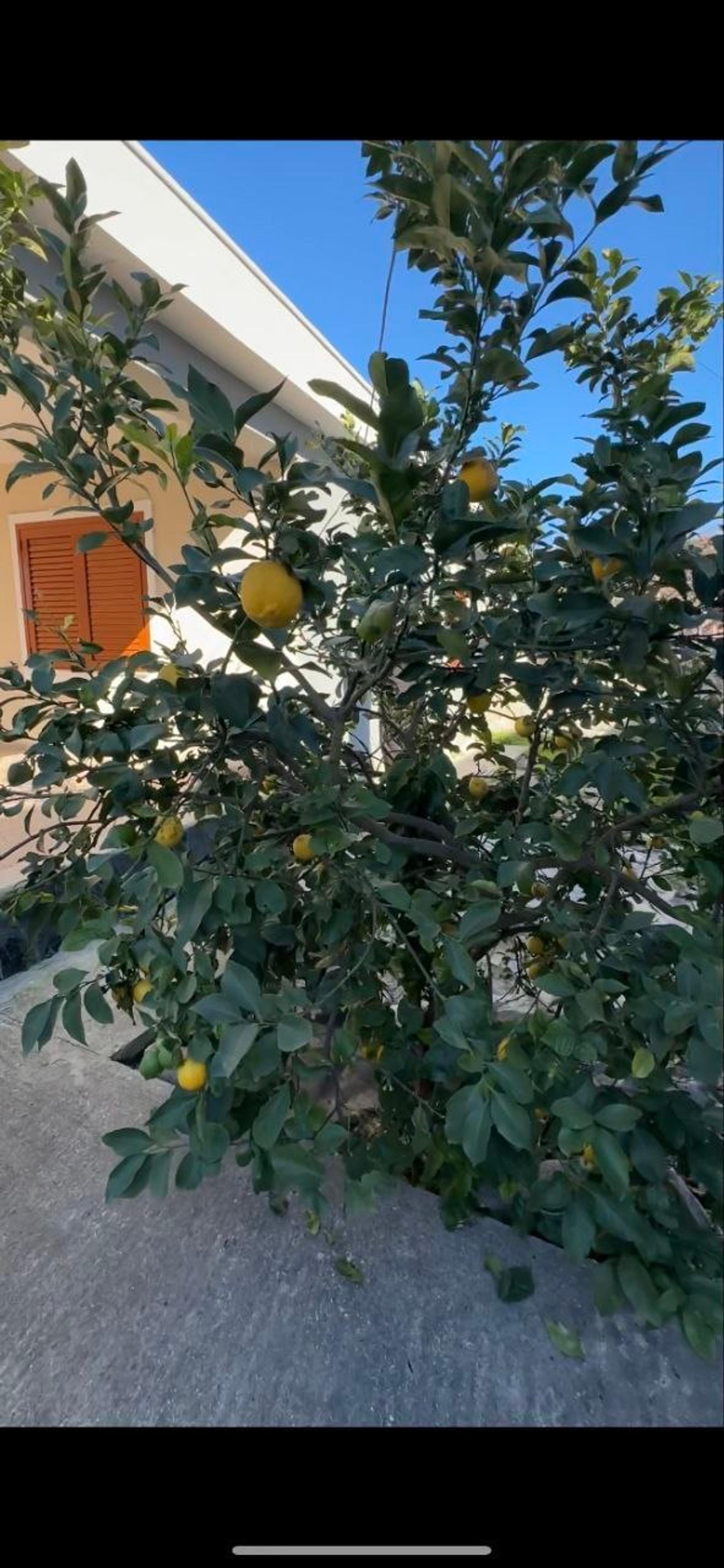 Shtëpi, në shitje, Vlora, 109 m² — foto 11 nga 14
