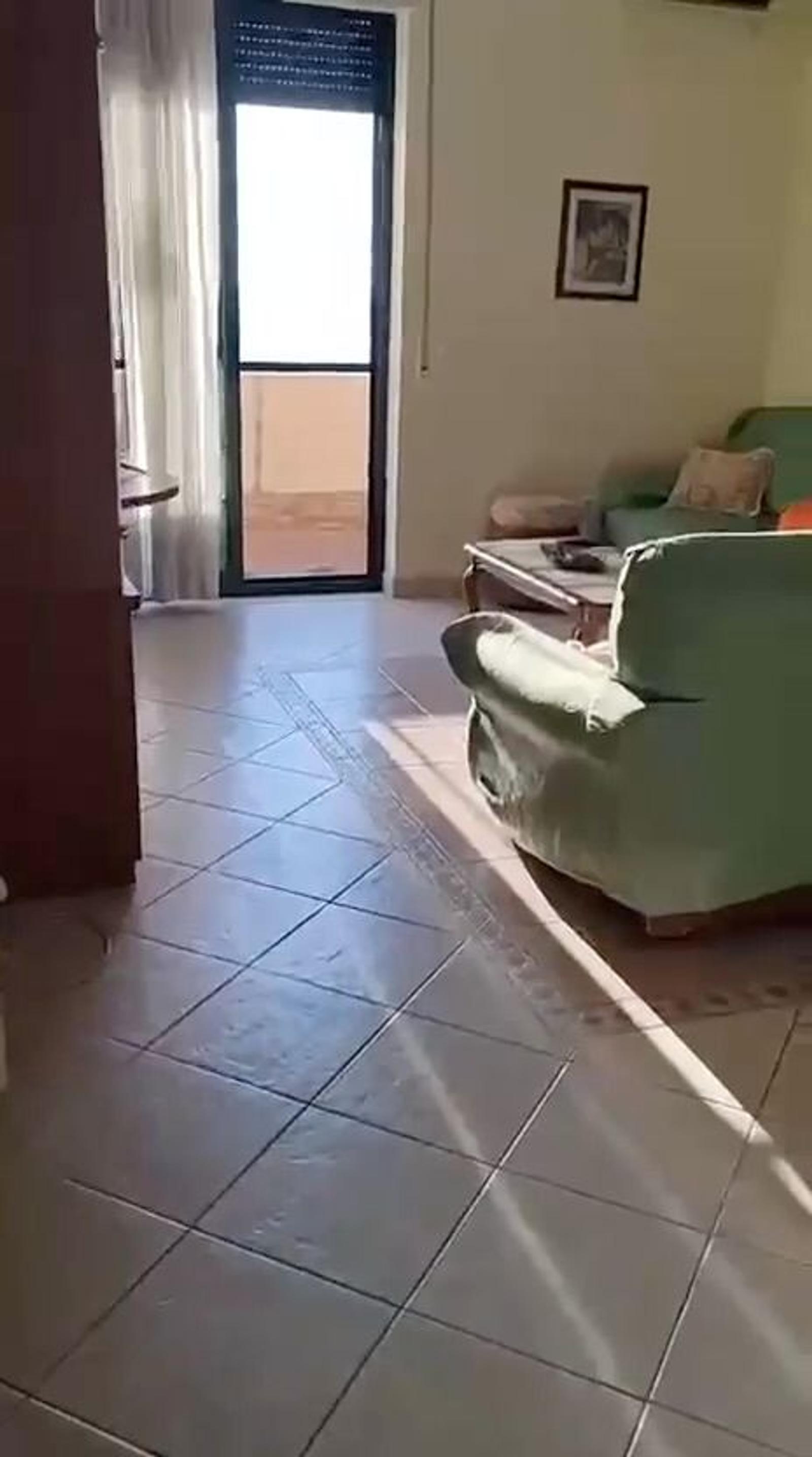 Wohnung 1+1 zum Kauf in Golem, Durrës, 74.4 m² — Foto 6 von 10
