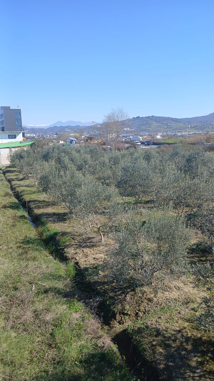 Shitet Tokë | Maminas, Tiranë-Durrës (Buzë Autostradës)