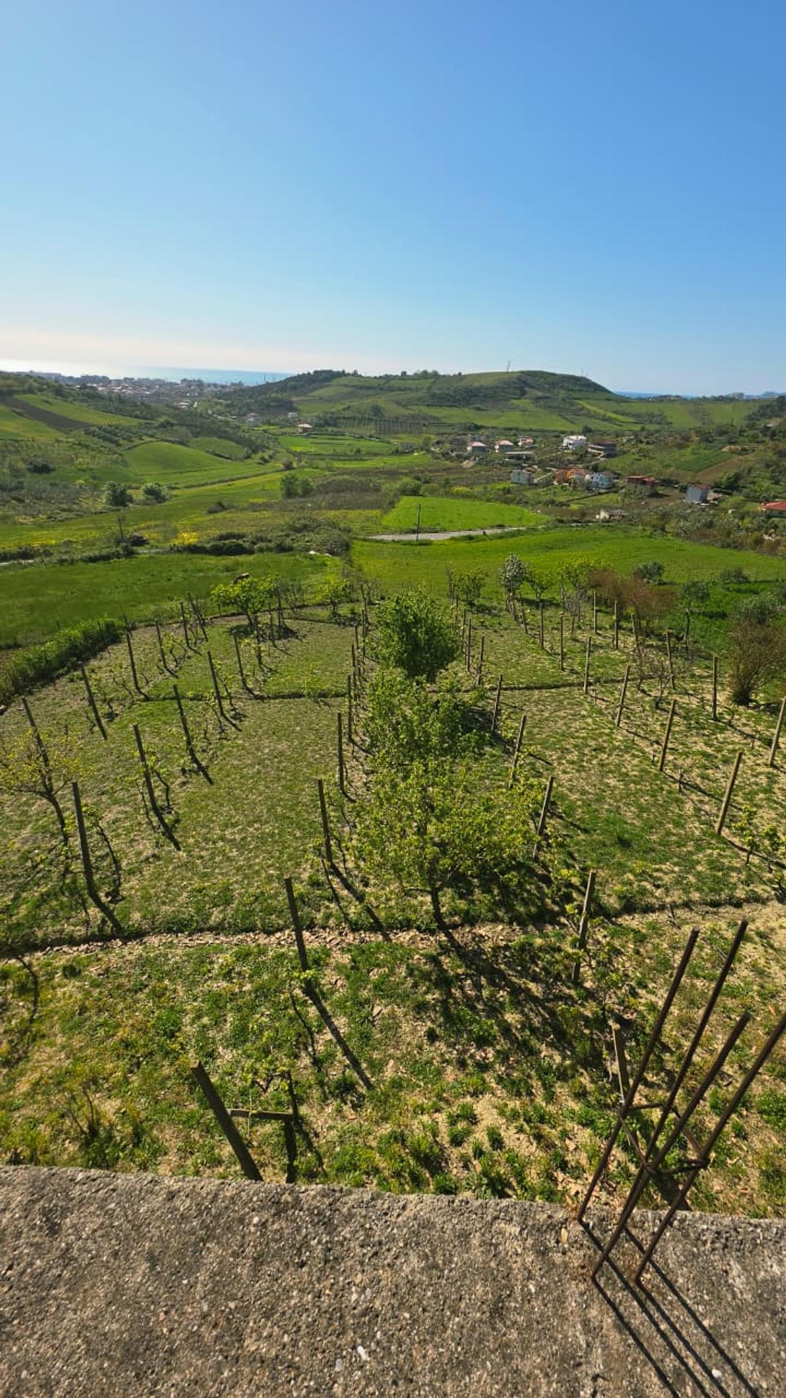 Gewerbefläche zum Kauf in Golem, Durrës, 240 m² — Foto 20 von 25