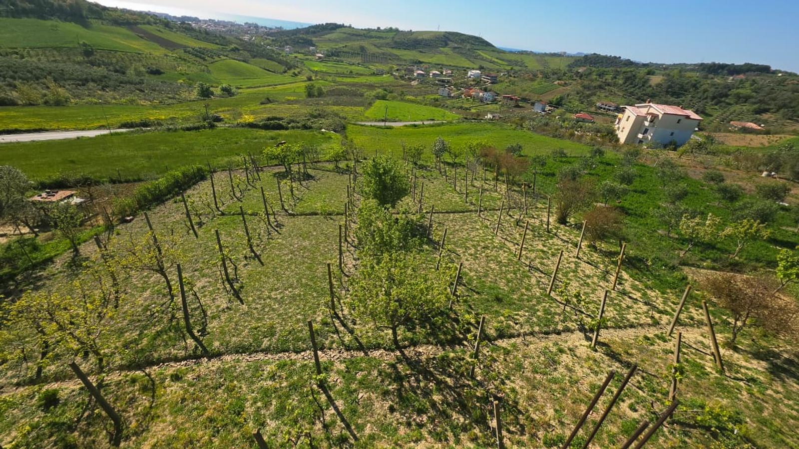 Gewerbefläche zum Kauf in Golem, Durrës, 240 m² — Foto 19 von 25