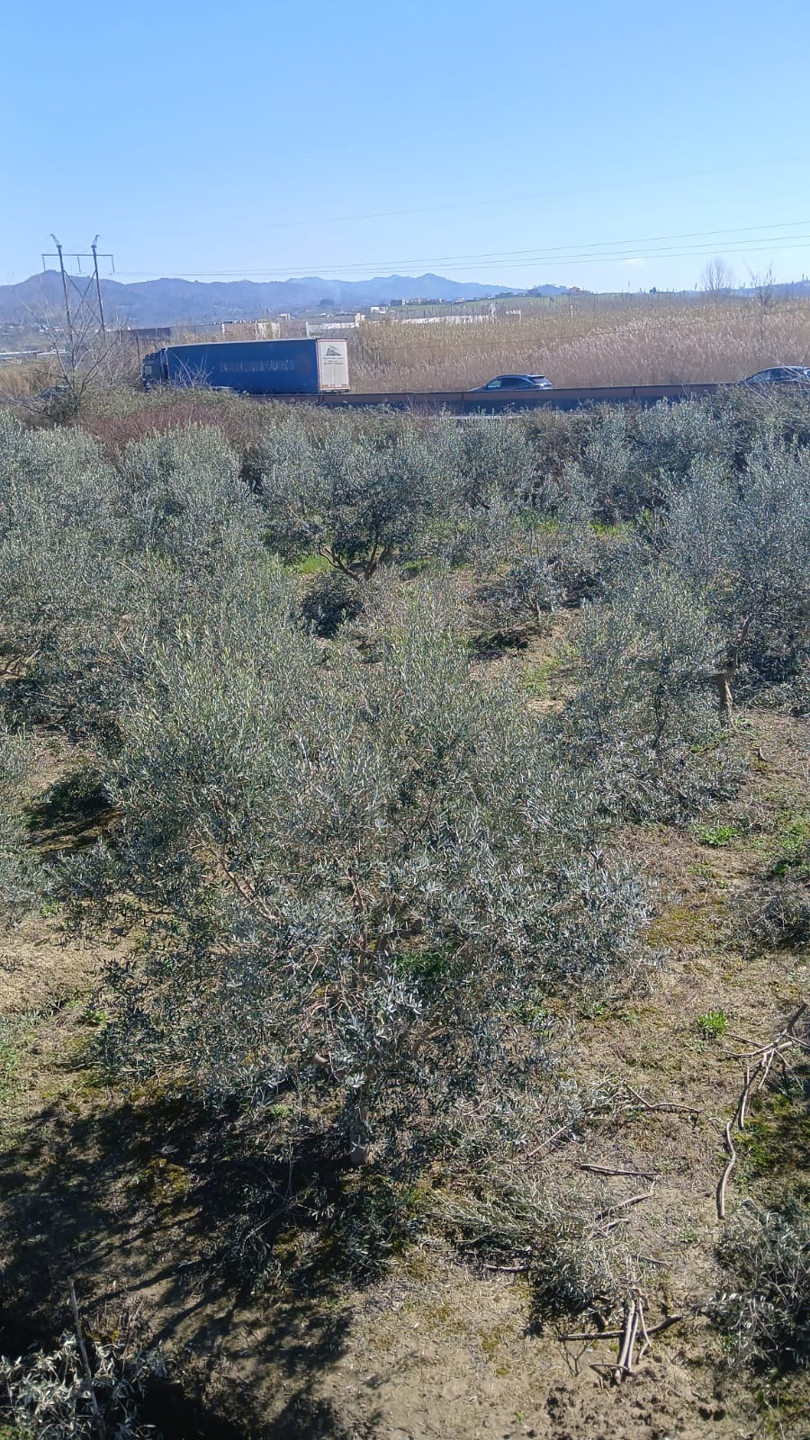 Shitet Tokë | Maminas, Tiranë-Durrës (Buzë Autostradës)
