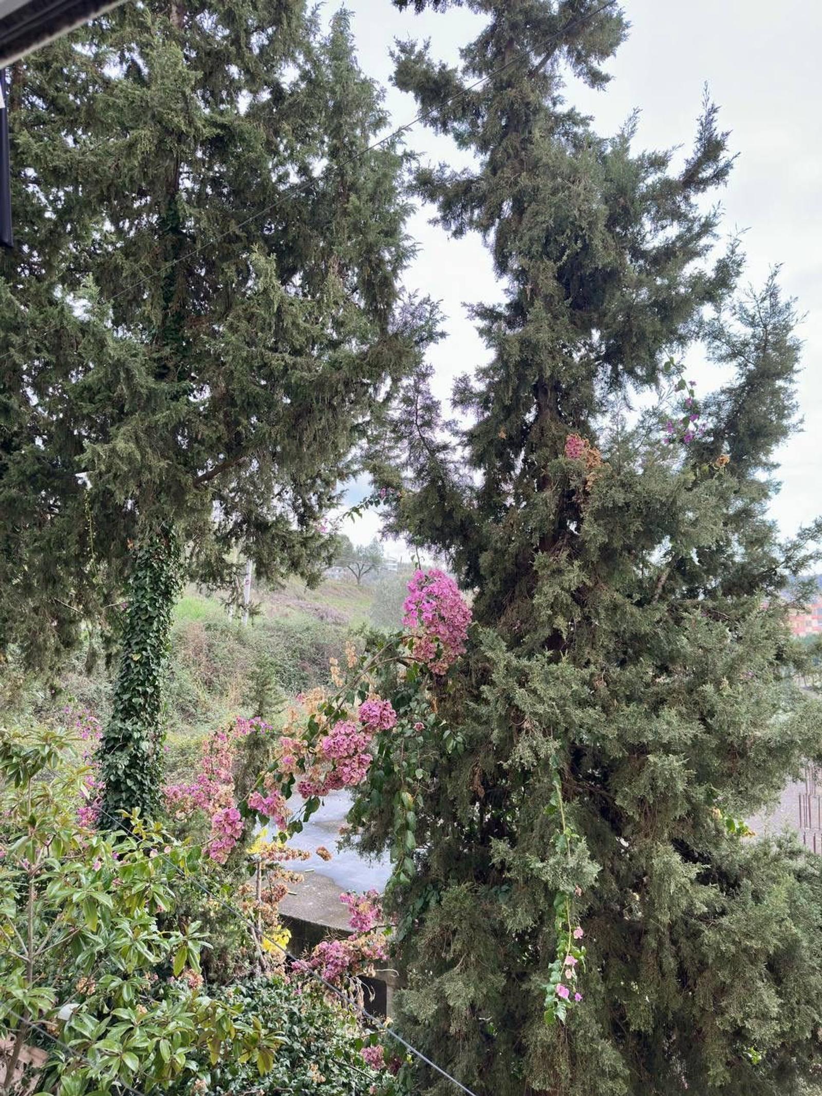 Monolocale, in vendita, Shkëmbi, Durazzo, 29 m² — foto 5 di 10