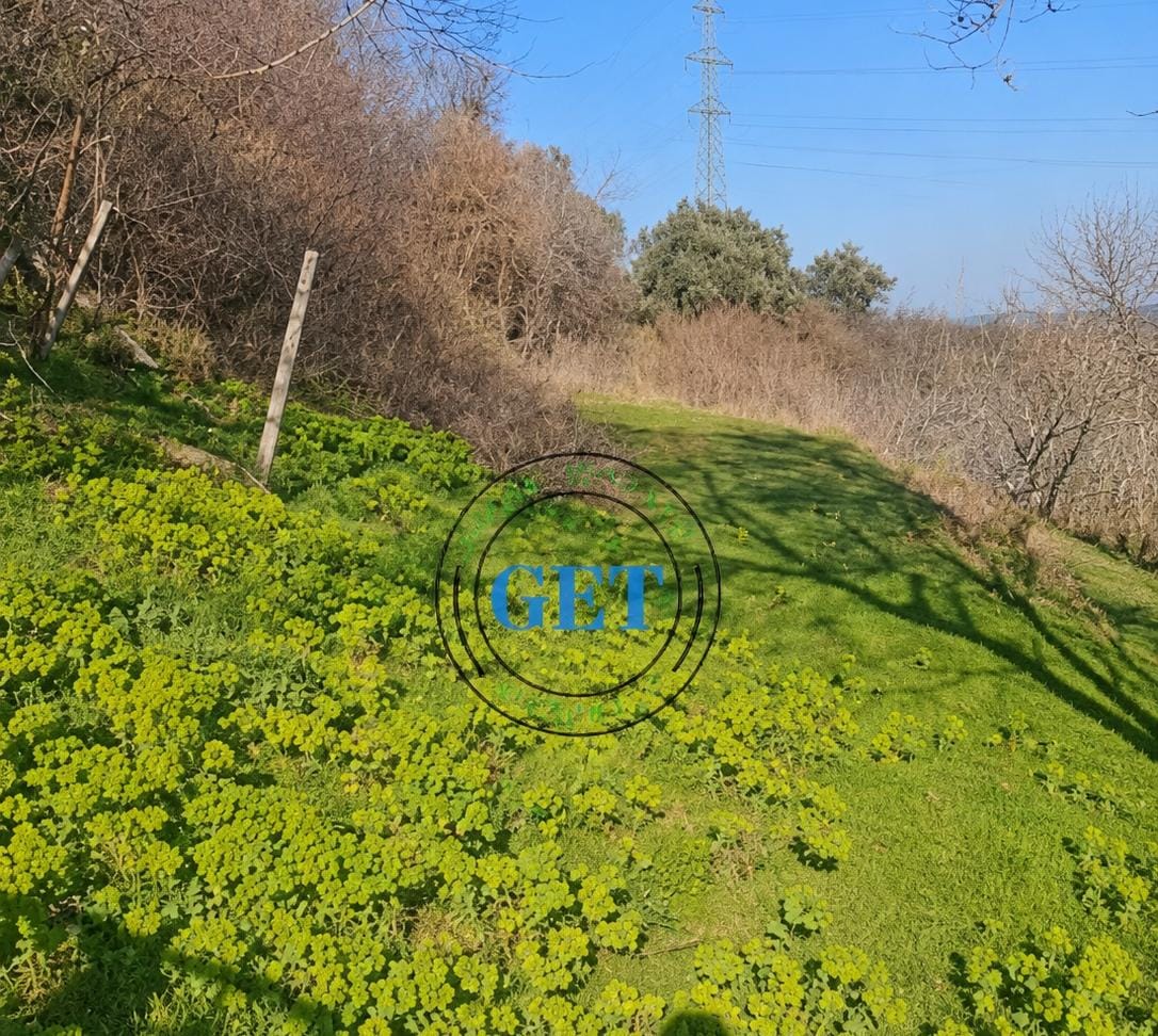 Shitet Tokë | Kodra e Kuajve, Durrës
