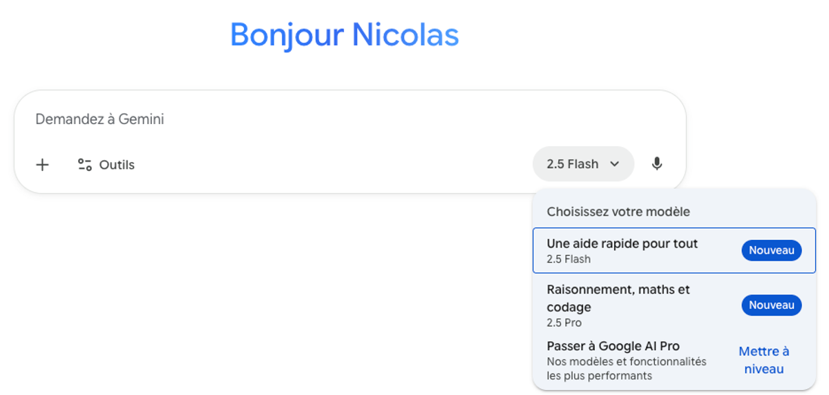 Model Options in Gemini
