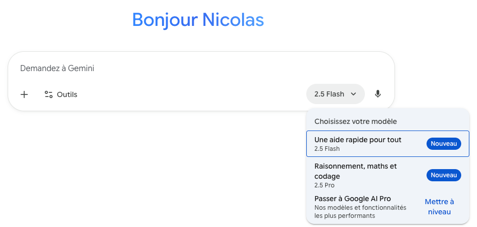 Model Options in Gemini