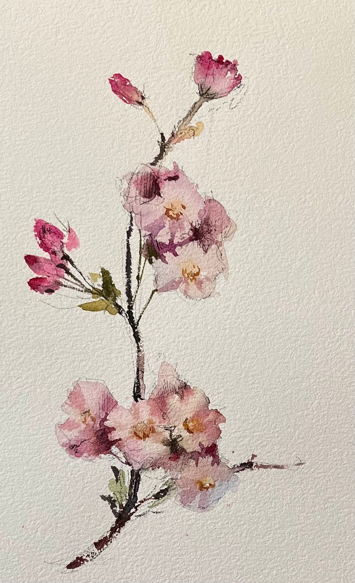 Example work from Flowers in Watercolor