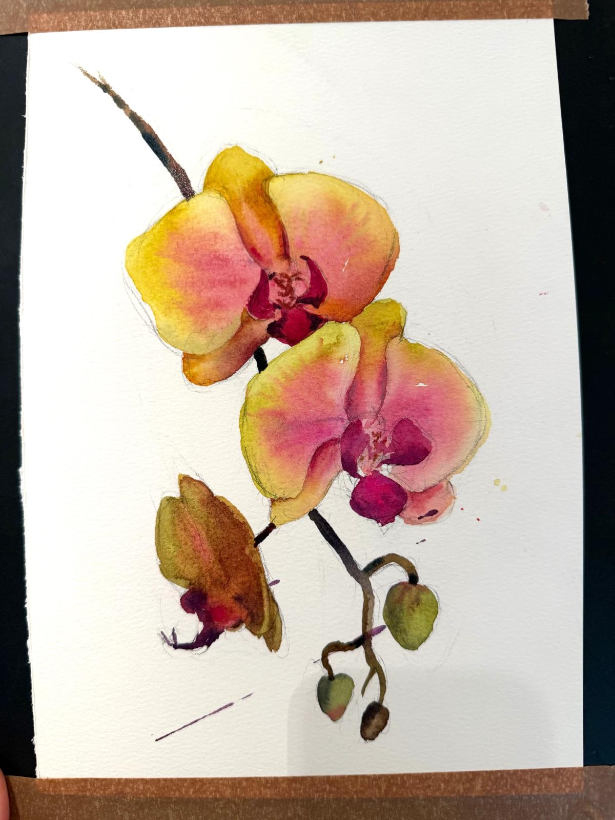 Example work from Flowers in Watercolor