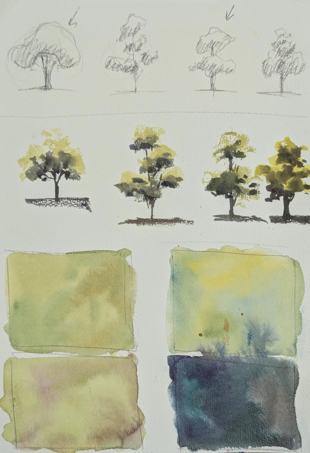 Example work from Trees and Forest in Watercolor