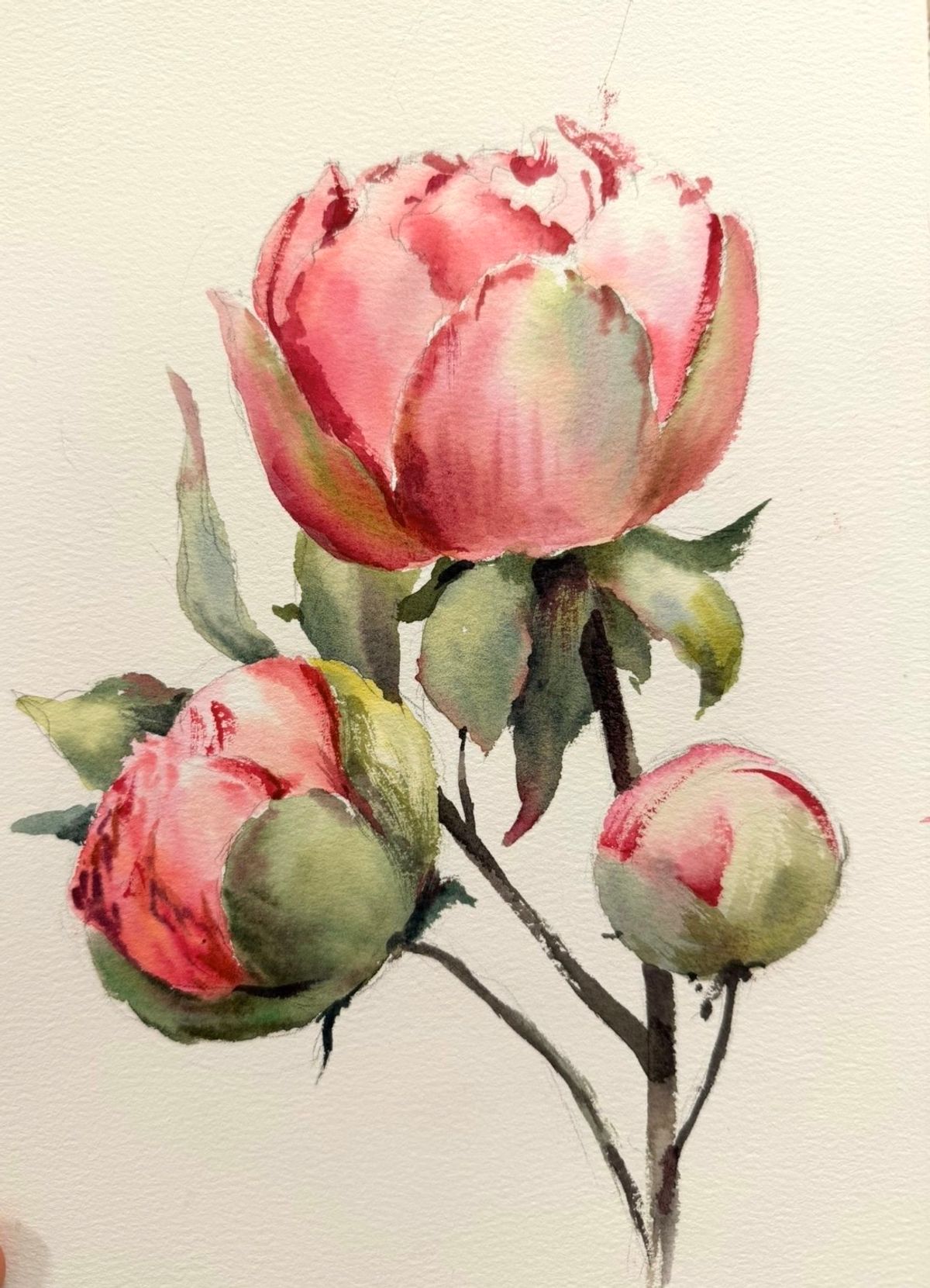 Example work from Bloemen in aquarel