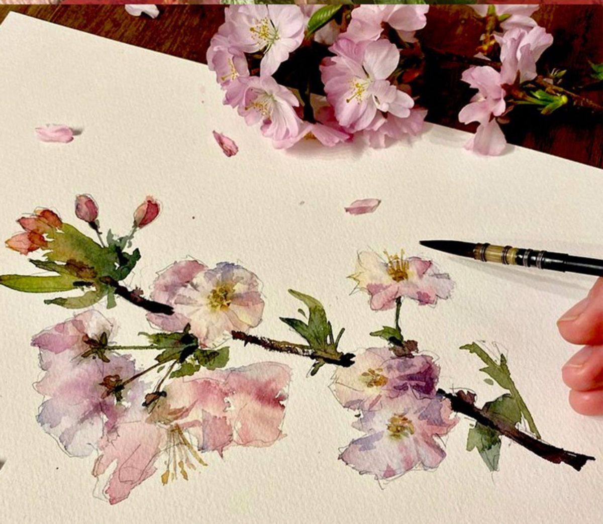 Example work from Flowers in Watercolor