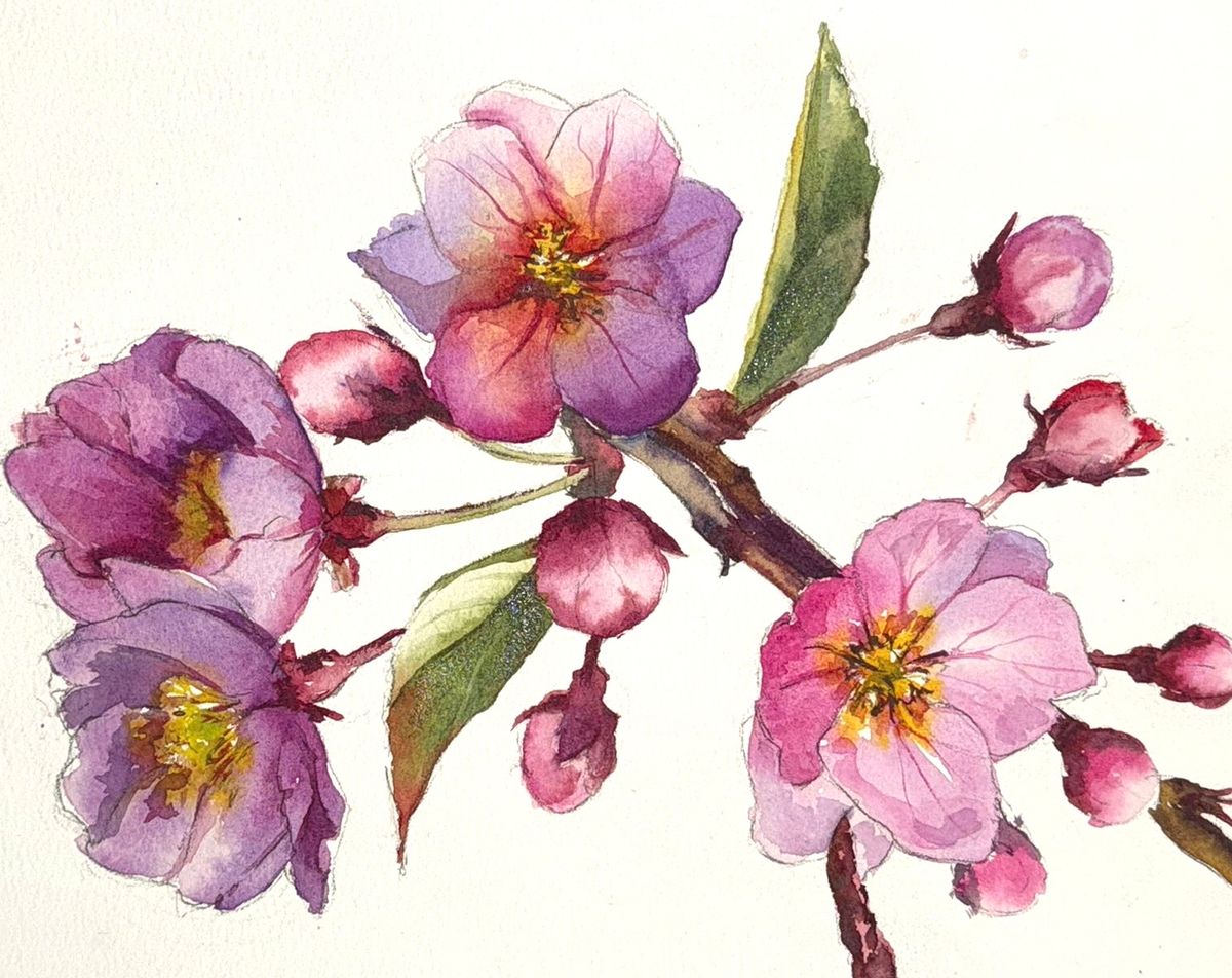 Example work from Bloemen in aquarel