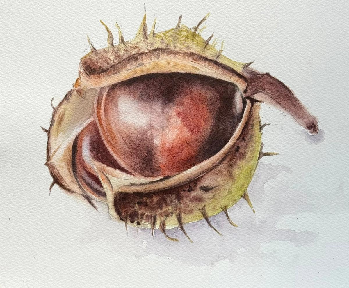 Example work from Autumn in Watercolor