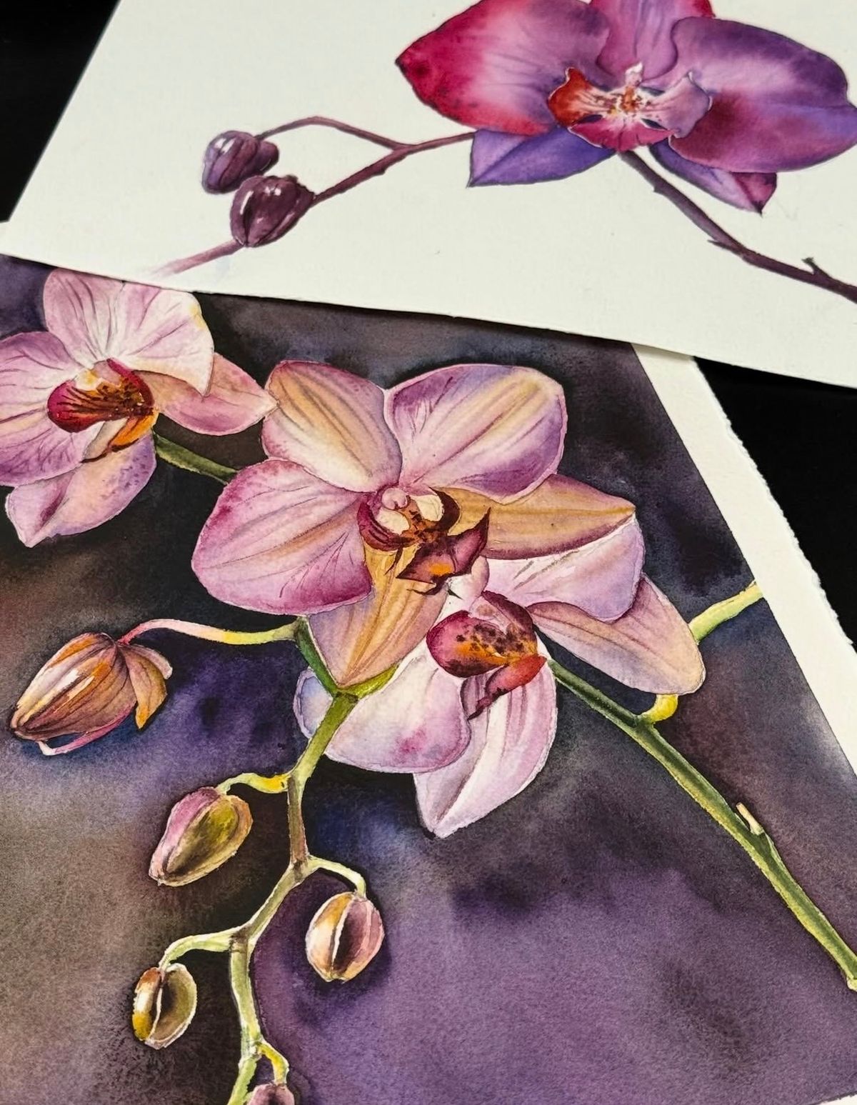 Example work from Bloemen in aquarel