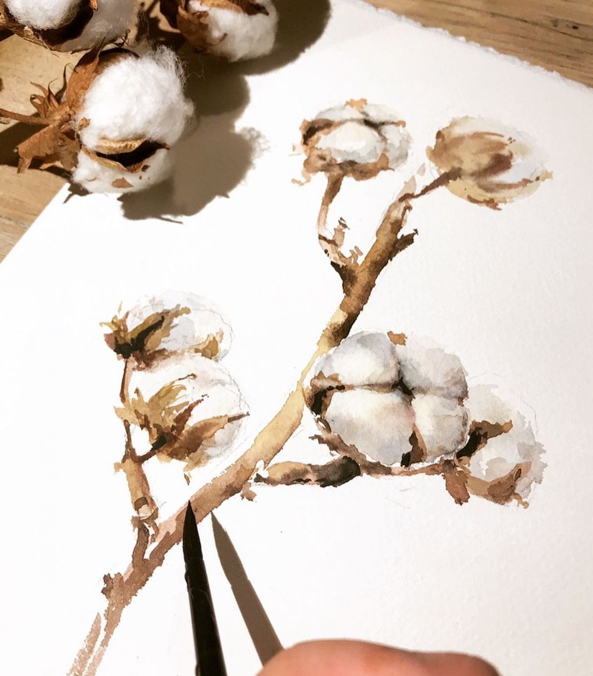Example work from Flowers in Watercolor