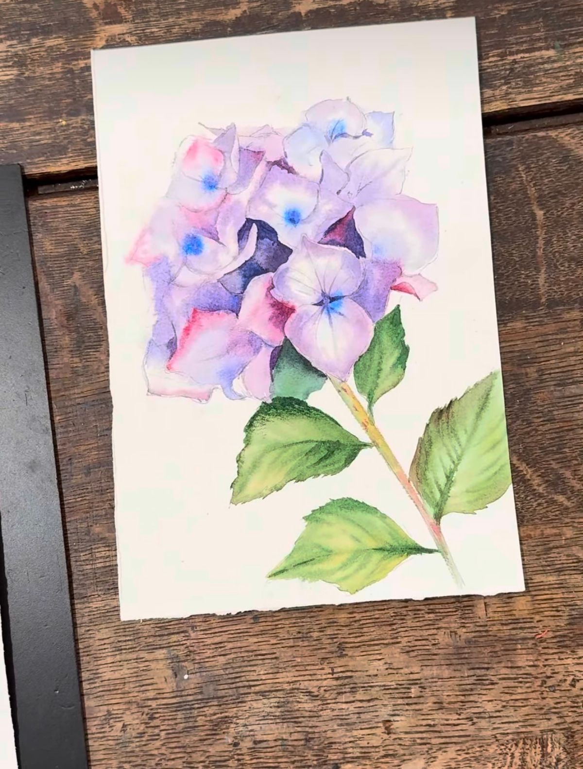 Example work from Bloemen in aquarel