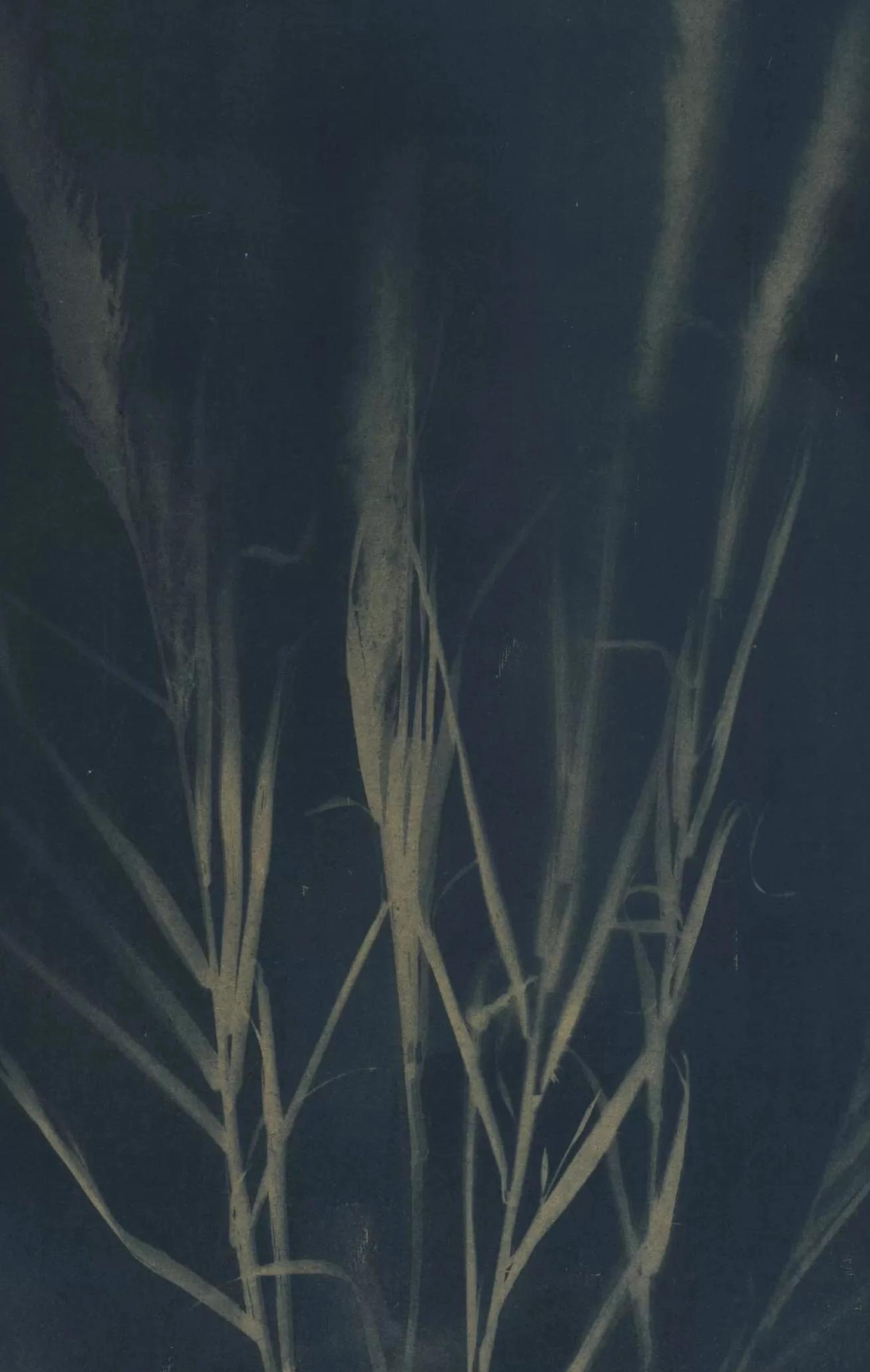 Opera dell'artista ANDREA POLICHETTI