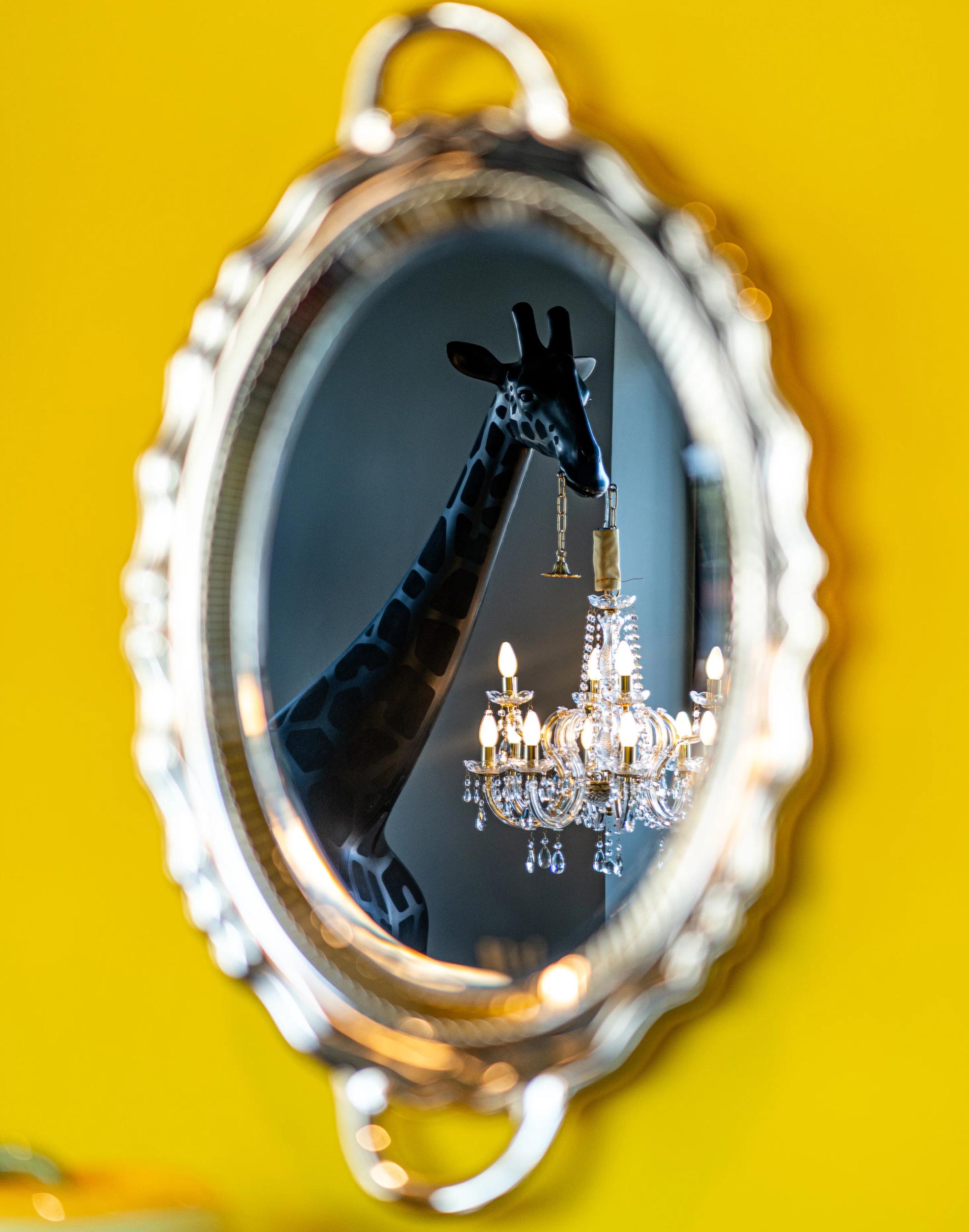 Specchio raffigurante giraffa Onde Sign