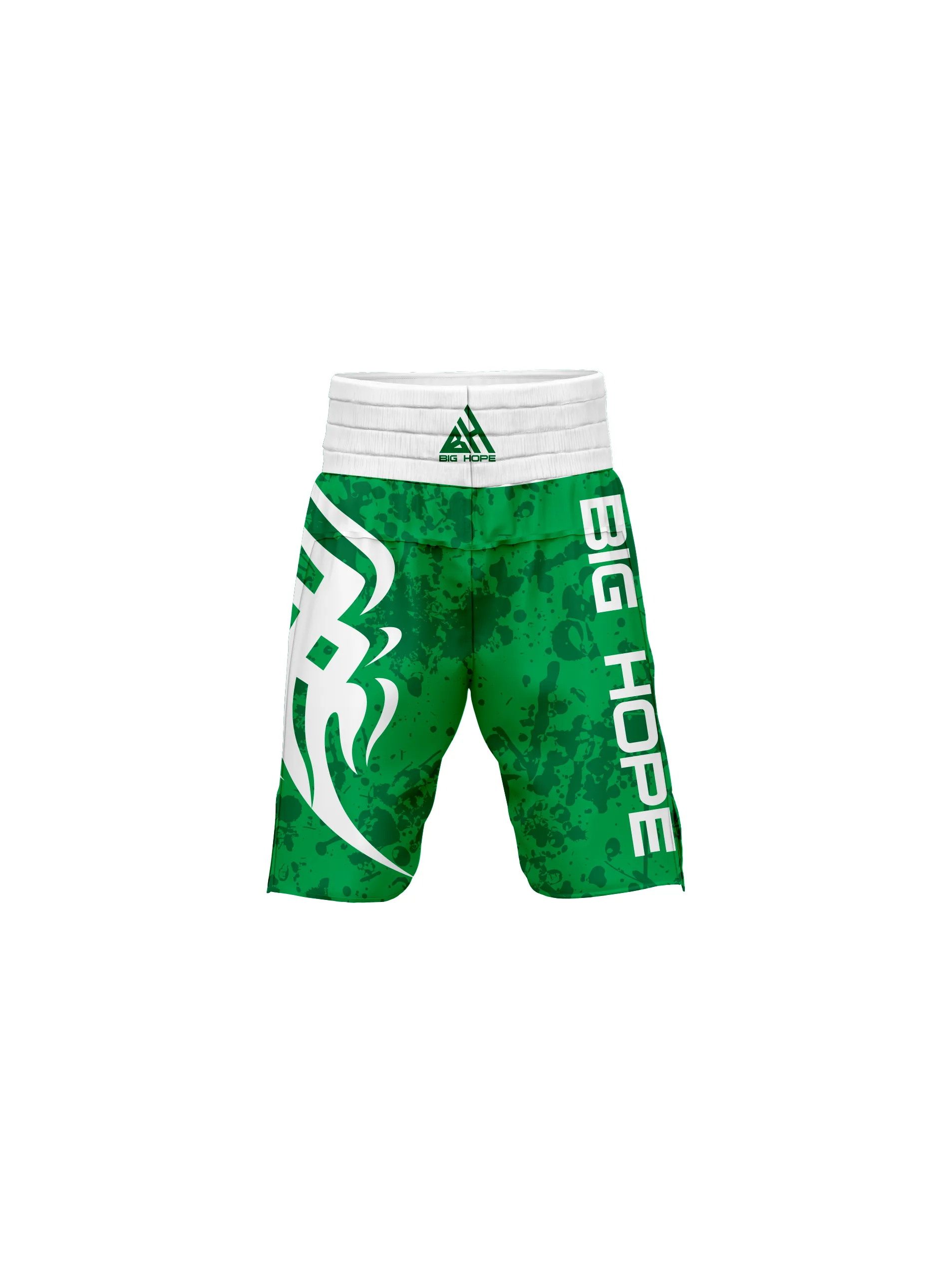 Custom MMA Fight Shorts view 4