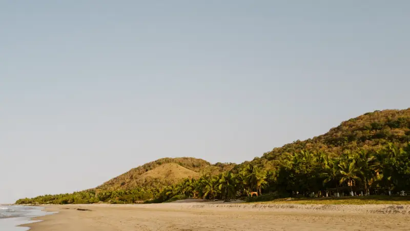 The Beaches of Troncones