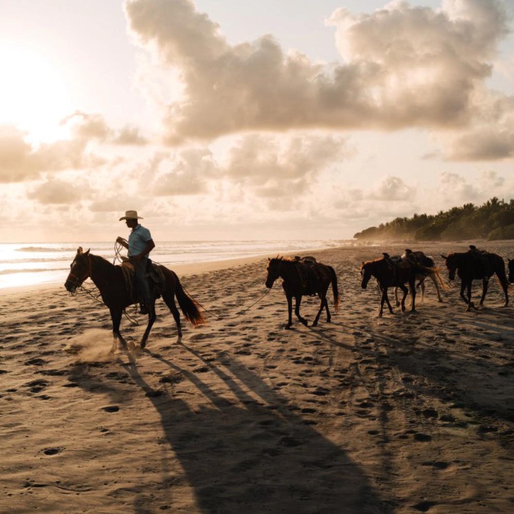Horseback Rides on the Beach
