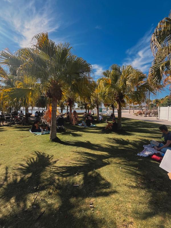 Love is in the Trail / El Amor esta en la Ruta