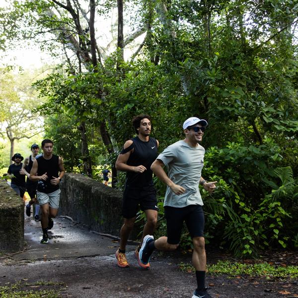 Runners at Greynolds