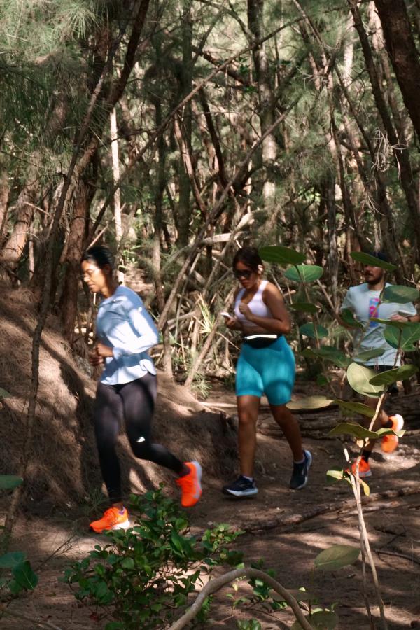 BEARLY WILD. BEARLY FREE.