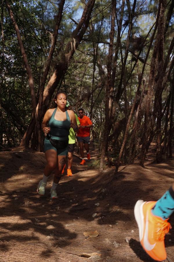 BEARLY WILD. BEARLY FREE.