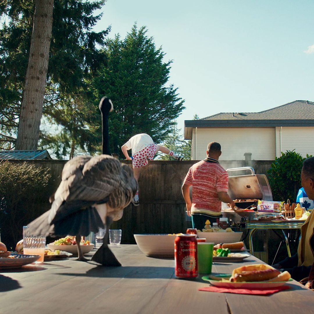 Cover image for The Wild Goose Chase